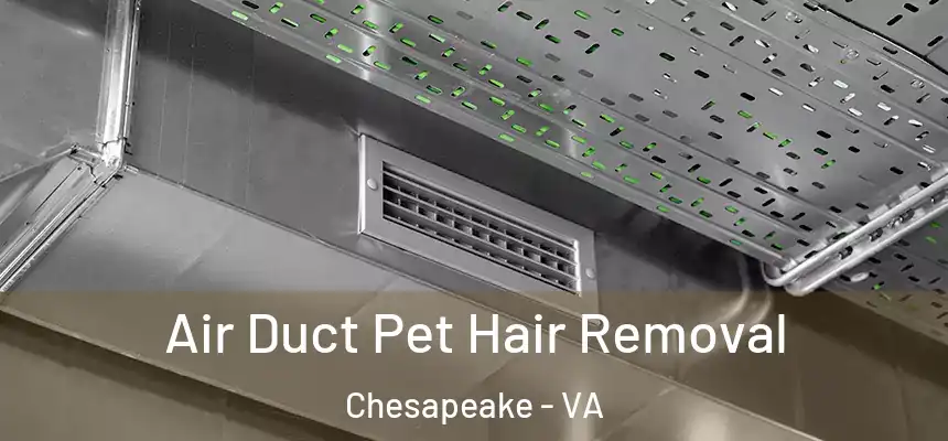 Air Duct Pet Hair Removal Chesapeake - VA