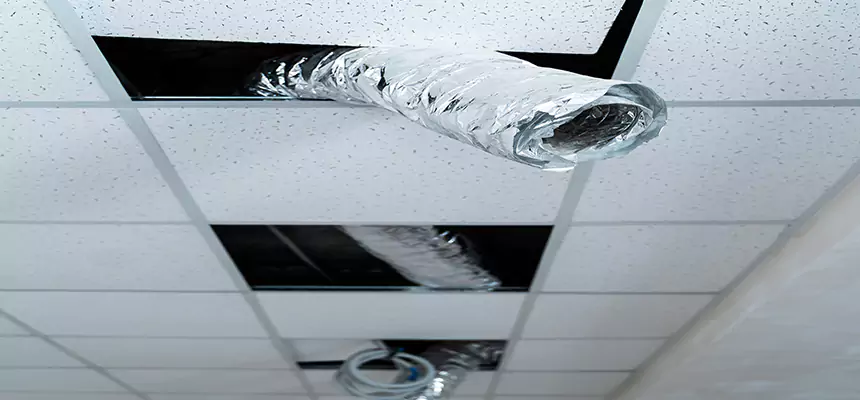 Our Air Duct Pet Hair Removal Services in Chesapeake, VA