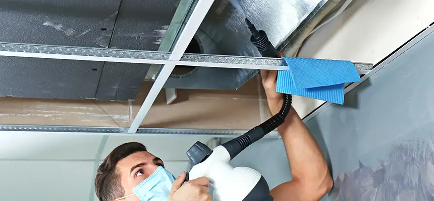 Our Air Duct Rodent Removal Services in Chesapeake, VA