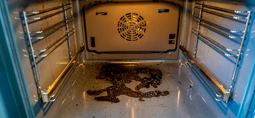 Our Dryer Vent Mold Cleaning Services in Chesapeake, VA