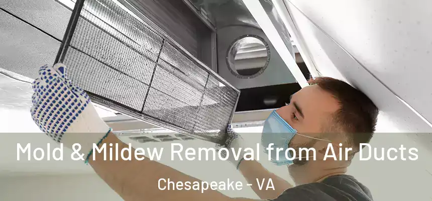  Mold & Mildew Removal from Air Ducts Chesapeake - VA
