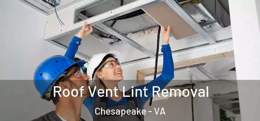 Roof Vent Lint Removal Chesapeake - VA