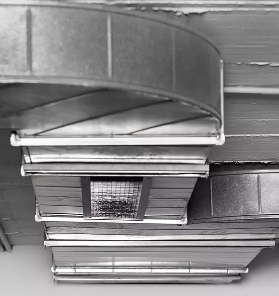 Professional Air Duct Pet Hair Removal in Chesapeake, VA