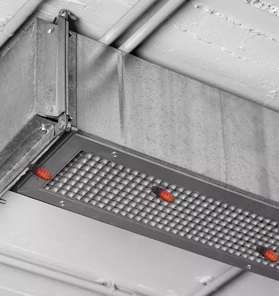 Affordable Insect Removal from Air Ducts in Chesapeake, VA