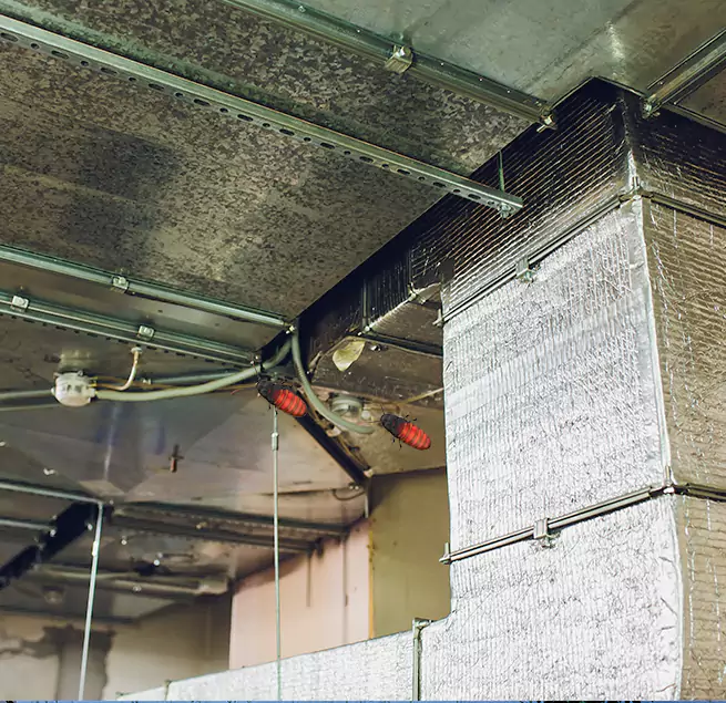 Why Homeowners & Businesses Trust Us Chesapeake, VA?