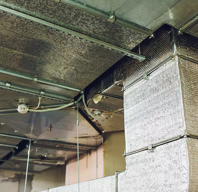 Why Homeowners & Businesses Trust Us in Chesapeake, VA?