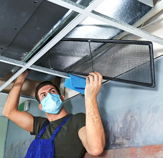 Why Homeowners & Businesses Trust Us in Chesapeake, VA?